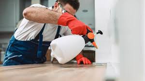 Best Real Estate Pest Inspections  in Magee, MS